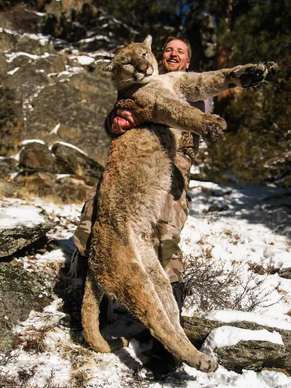 Hunter holding up a mountain lion in snowy, rocky terrain