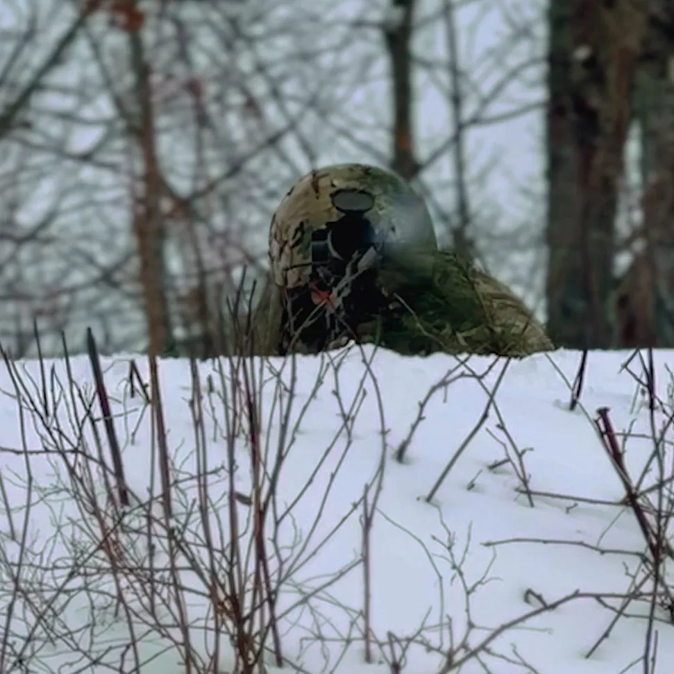 Camouflaged shooter concealed behind a snowbank in the woods